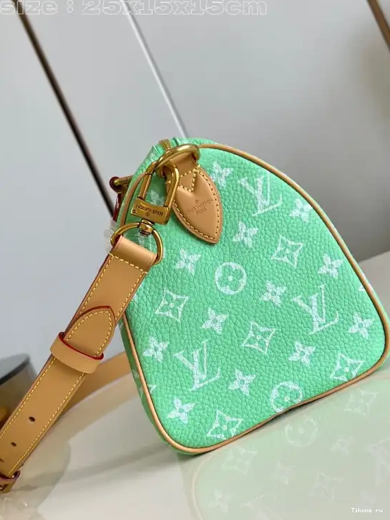 Affordable 25 Louis Vuitton SPEEDY 0623